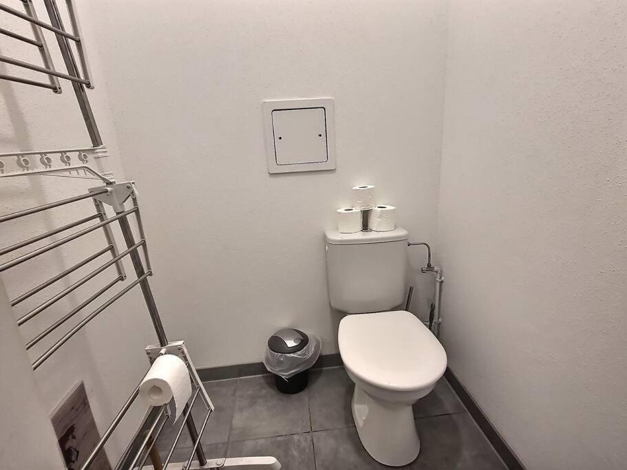 Superbe Appartement Avec 2 Balcons - Vue Sur La Cathedrale Environ 15 Min En Tram Strazburg Dış mekan fotoğraf